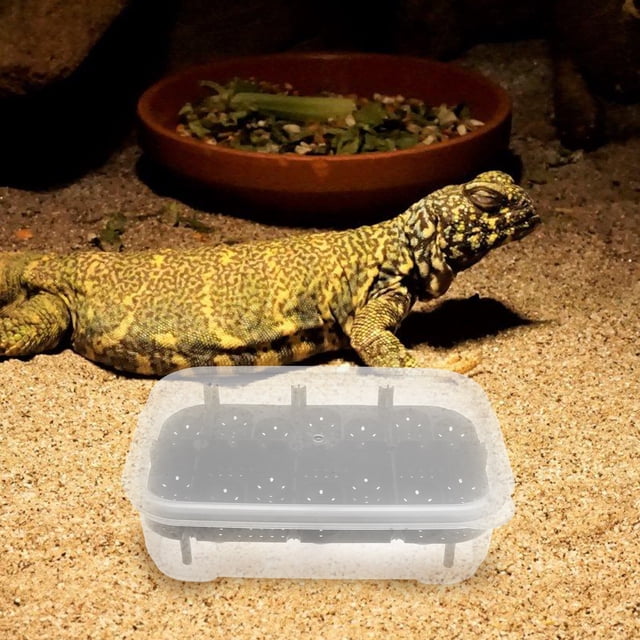 FOMIYES Caja De Cría Para Reptiles Profesional En Plástico Negro Para Almacenaje Fácil