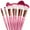 Pink, variant on Mermaid-Style Makeup Brush Set 6-Piece