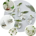 thumbnail image 4 of Efavormart 3 Pack Modish Round Shaped Glass Wall Vase Hanging Glass Terrarium Indoor Wall Planters, 4 of 11