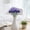Dark Purple, variant on LKZQHMC Artificial Purple Lavender, 1 Bushes Flocked Fake Lilac Flower for Wedding Bouquet DIY Table Centerpieces and Floral Arrangement Decoration