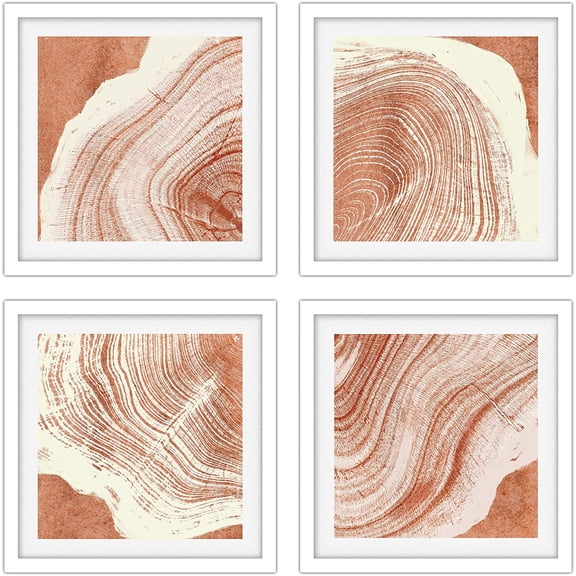 PixonSign Framed Wall Art Collage Print Gallery Set Brown Wood Ring Line Art Botanical Floral Plants Digital Art Minimalism CloseUp Relax/Calm for Living Room, Bedroom, Office - 12"x12"x4 WHITE