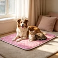 thumbnail image 4 of Cififendec Cooling Pet Sleeping Mat, 59.06"×39.37", Breathable Heat Dissipation Ice Pad for Pet Summer Temperature Relief, Indoor Kennel Sofa Floor Rest Cushion, 4 of 5