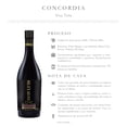 thumbnail image 4 of Vino Don Luis 4 botellas de 750ml Terra, Merlot, Viognier, Concordia, 4 of 7