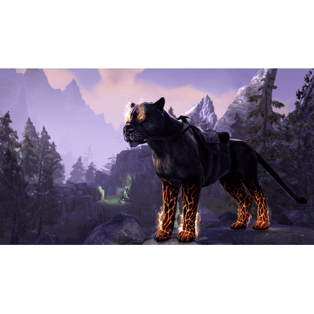 Bethesda Softworks Elder Scrolls Online: Summerset for PlayStation 4