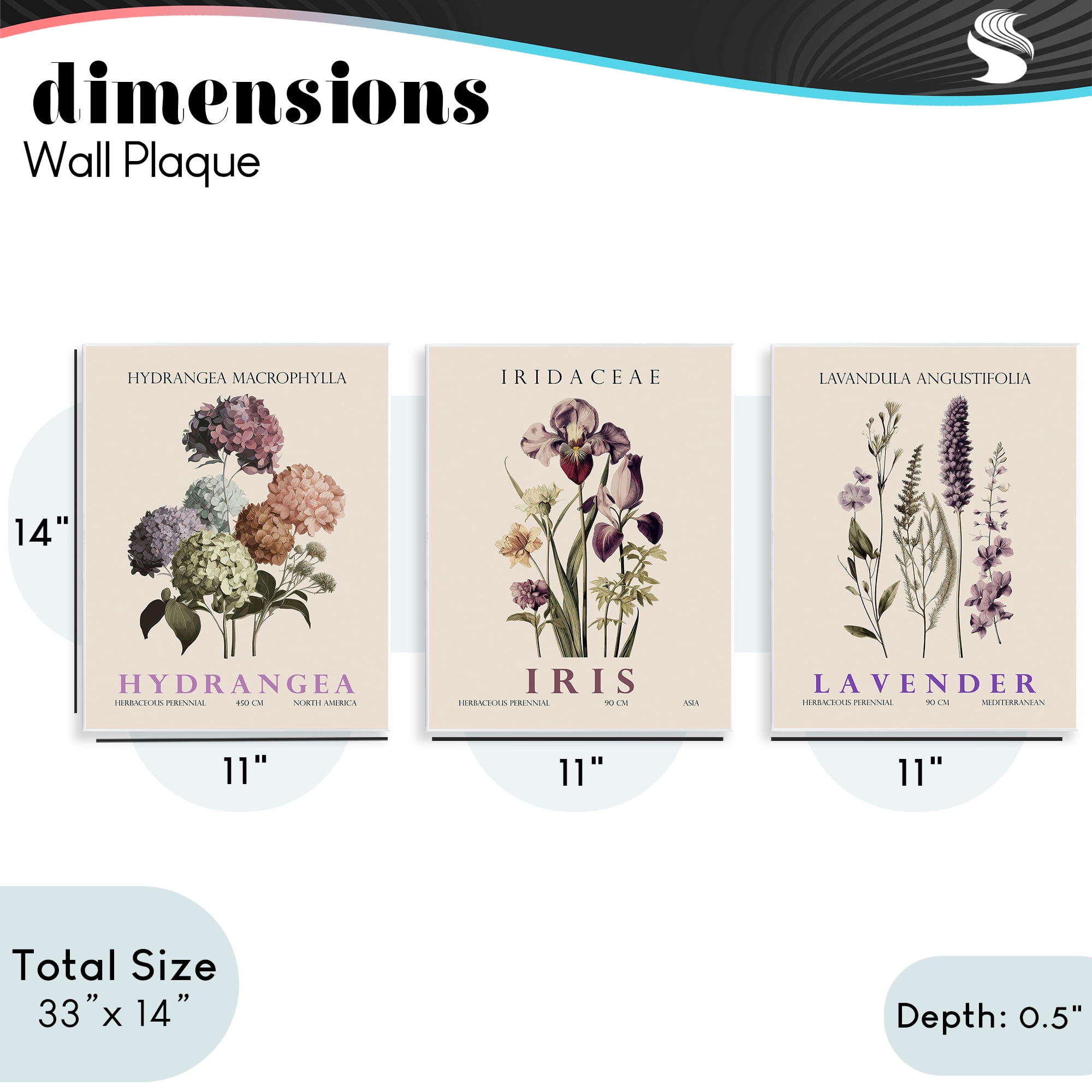 Stupell Industries Botanical Bundles & Sprigs 3 Piece Wall Plaque Art Set, design by Christopher Giampietro