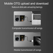 MUSICOZY 80GB MP3 Player with Bluetooth 5.3,Lossless DSD FLAC HD HiFi Portable Digital Music Player with FM Radio Recording,2.4in HD Screen Music Mp3 Player,10H Music Playback,128GB Support