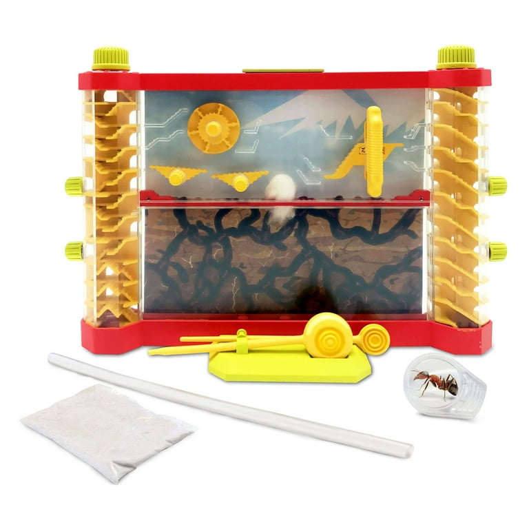 Lanard Nature Explorer Ant Condo Lanard Nature Explorer Ant Condo