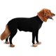 thumbnail image 1 of Mono deportivo para perro: ideal para casa, coche y viajes, ideal para calmar la ansiedad y proteger contra rayos UV y garrapatas. El mejor regalo., 1 of 5