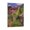 Frame-style, variant on Paul Gauguin Prints Rue De Tahiti Canvas Wall Art Poster Picture Print Canvas Poster Wall Paint Art Posters Decor Modern Home Artworks Gift 12x18inch(30x45cm)