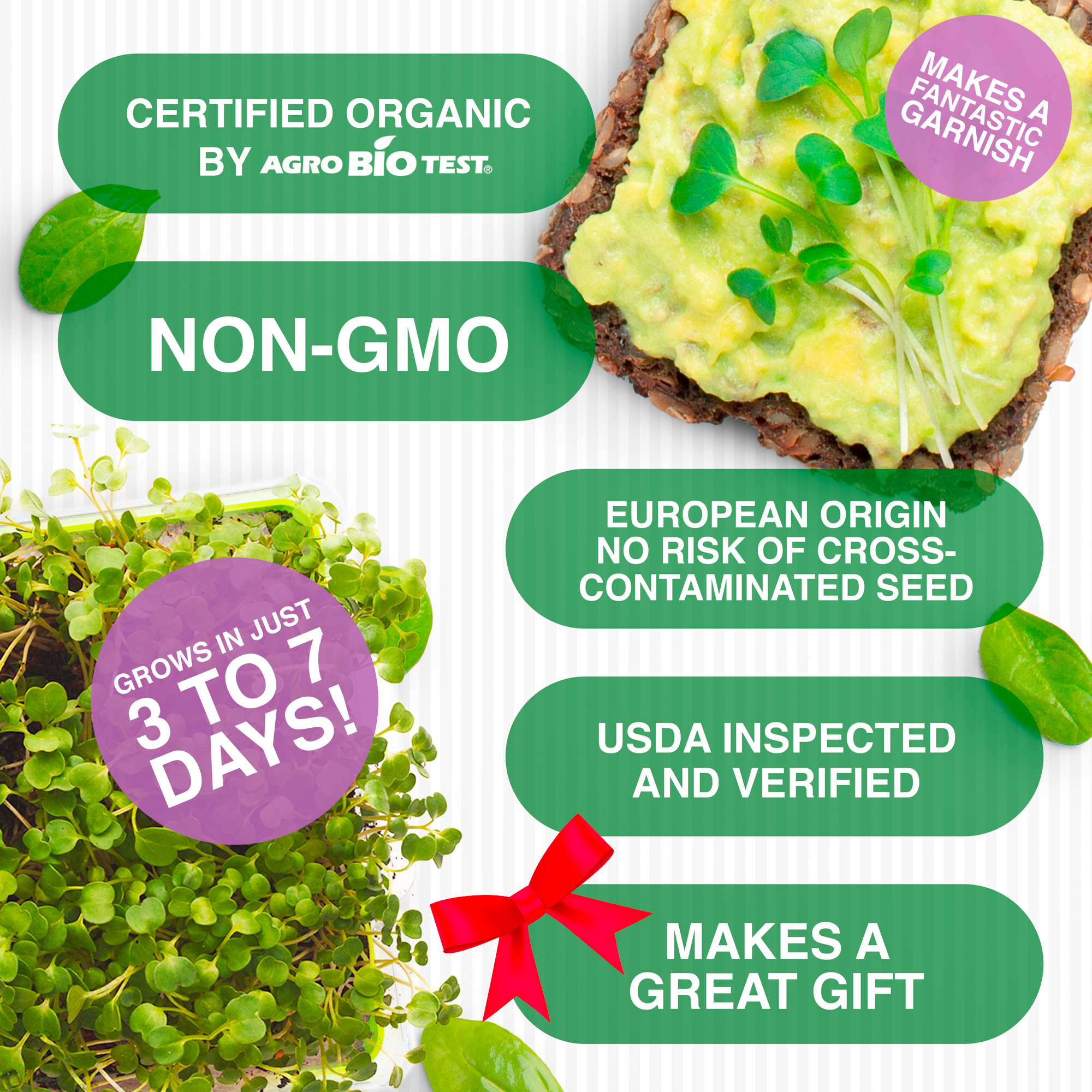 Bio Naturo Microgreens Sprouting Seeds (6 Pack), Organic Heirloom Non-GMO