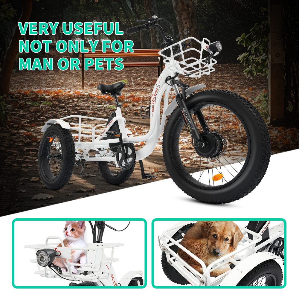 ECOTRIC 22.4AH Electric Tricycle Fat Tire for Adults with Basket, 750W 48V Battery, 3 Wheel Step-Thru E-trike White