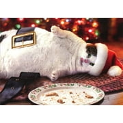 Avanti Press Santa Cat With Cookies Box of 10 Funny Christmas Cards