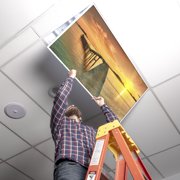 Octo Lights - Fluorescent Light Covers - 2x4 Flexible Ceiling Light Filters - For Classrooms and Offices - Beach 001
