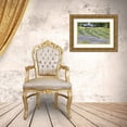 thumbnail image 3 of Styber, Dana 32x23 Gold Ornate Wood Framed with Double Matting Museum Art Print Titled - Lavender Hill I, 3 of 4