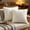 A, variant on Solid Color French Plush Pillow Case with 3D Texture for Sofa and Bed Decorative Cushion Cover 18x18 Inch Beige Pillow Core Not Included