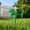 Green, variant on Mini Plastic Wind Vane Windmill Ornament Weather Wind Direction Indicator Colorful Decor for Flower Pot Garden Mini Landscape,Red