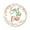Peach & Light Green, variant on Darling Souvenir 1.6 Inches Round Floral Border Save The Date Stickers Envelope Seals-45 Pcs