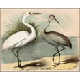thumbnail image 2 of Brunswick, Nathaniel  18x15 White Modern Wood Framed Museum Art Print Titled - Coastal Visitors I   , 2 of 4