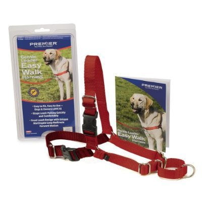 easy walk collar best for