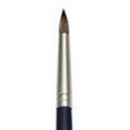 thumbnail image 1 of CEPILLO REAL ROYAL BRUSH RYL9550012, 1 of 1