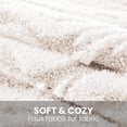 thumbnail image 2 of JIATER Pack of 2 Throw Pillow Covers Faux Fur Plush Couch Pillow Covers,18x18, White, 2 of 7