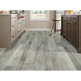 thumbnail image 3 of Shaw 1021V Paragon Mix Plus - Touch Pine, 3 of 5