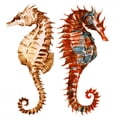 thumbnail image 2 of Watercolor Seahorses Wall Decal Sticker Set Wallmonkeys Peel and Stick Graphic (48 in H x 48 in W) WM503003, 2 of 4