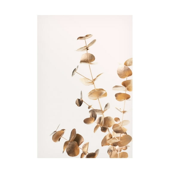 Canvas Wall Art - Pictufy Studio Iii 'Eucalyptus Gold No 05' Wall Art for Living Room, Bedroom, or Office D?cor by Trademark Fine Art - 12 x 19 Inches