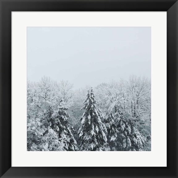Great Art Now Snowshoe Hill Deep Crop by Sue Schlabach, Framed Wall Art, 19.5W x 19.5H