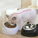 thumbnail image 3 of Pet Bowl with Raised Stand Pet Feeding Water Bowl for Cats Feeder Bowls,Blue, 3 of 5