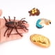 thumbnail image 4 of Ounissouiy Juguete educativo para el crecimiento de insectos, juguetes para niños en crecimiento en edad preescolar, modelo interactivo portátil Juguetes Educativos, 4 of 6