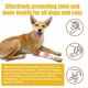 thumbnail image 4 of 2X Pet Bee Venom Joint Therapy Oil for Full Body Recovery for Dog Cat Pain, 4 of 4