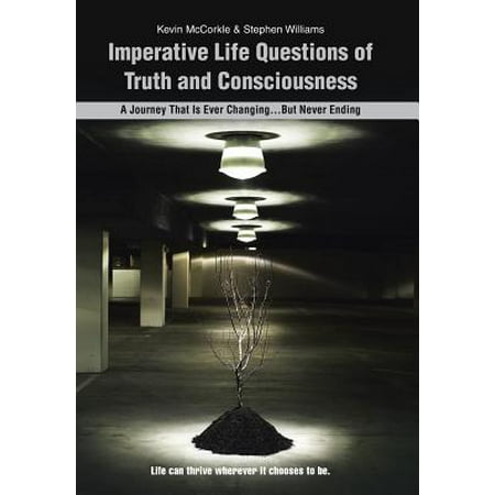 Imperative Life Questions of Truth and Consciousness : A Journey That Is Ever Changing...But Never