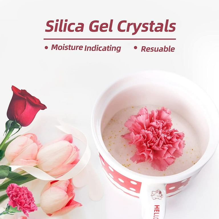 sexy witch clothes Dried Flowers, Flowers Themselves Dry With Silica Gel, Silica Sand |  INFINITY Flowers | Bridal Bouquet | Keepsakes| Floristry | Dry Sand Flowers main image 0