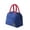 Blue, variant on Giyblacko Insulated Tote Lunch Box Bags Lunch Bag Insulated Thermal Food Storage Bag Portable Travel Working Bento Box