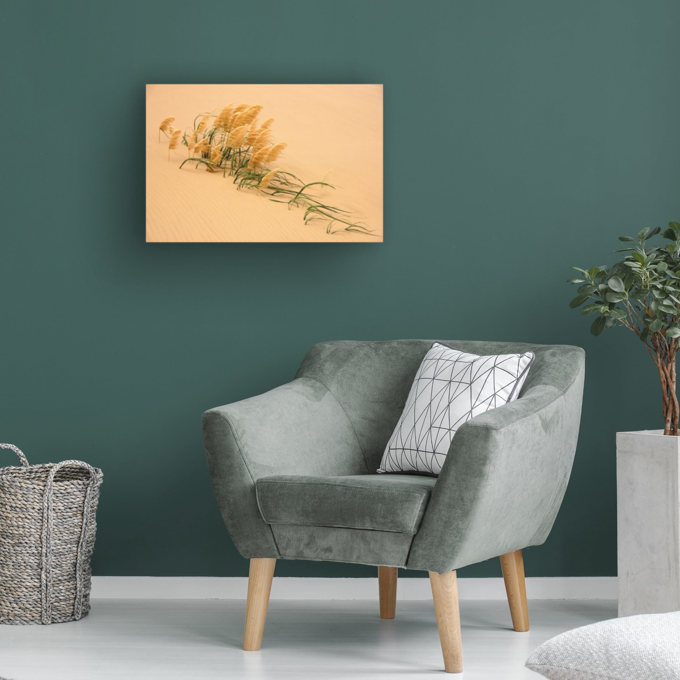 Canvas Wall Art - Carl Bostek 'Pampas Grass In Sand Dune' Wall Art for Living Room, Bedroom, or Office D?cor by Trademark Fine Art - 19 x 12 Inches