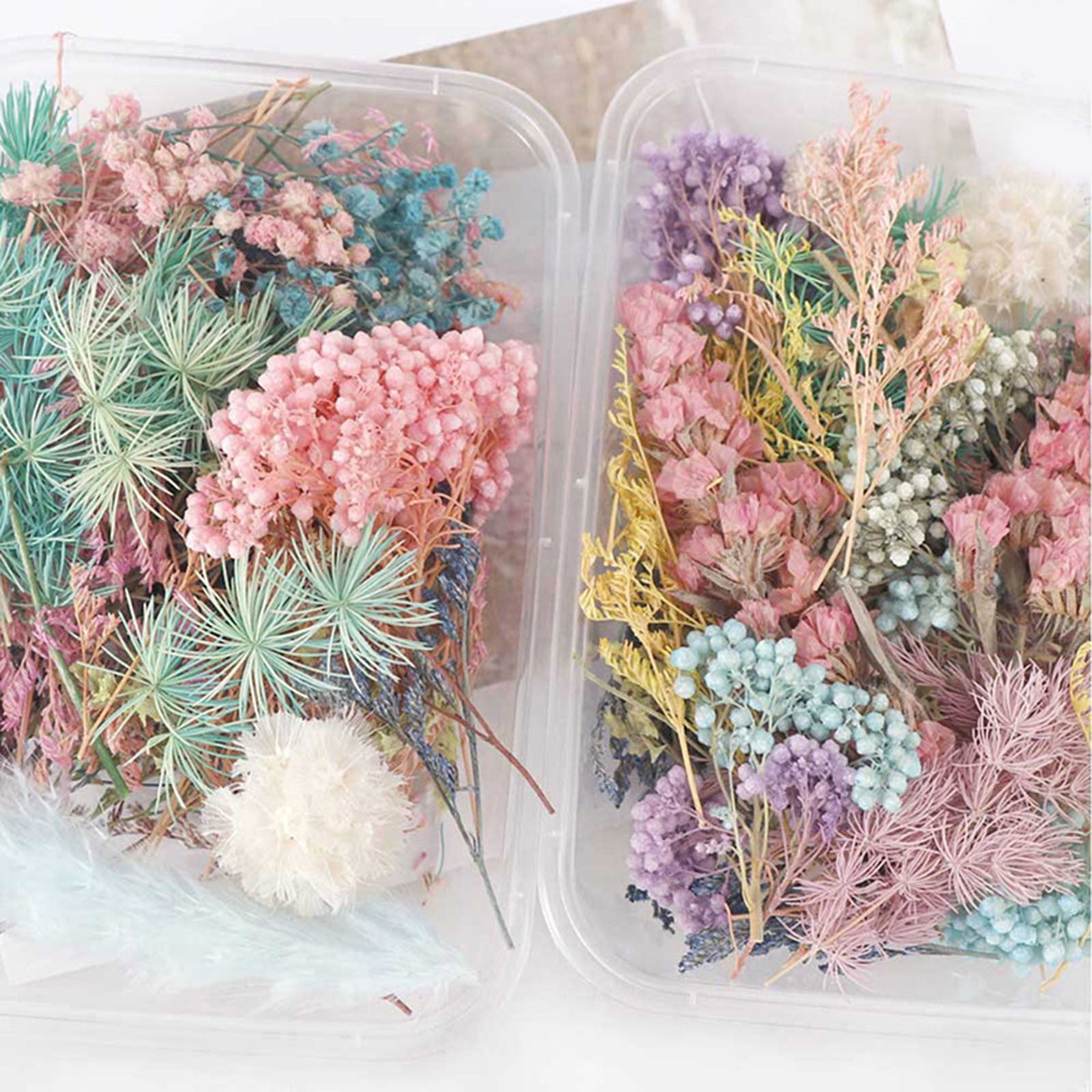 5 Box Dried Flowers,Mixed Colors Dried Flowers,Small Dry Flower for DIY Arts and Crafts Candles,Soap Making,Resin Jewelry Nail Pendant,Greeting Cards,Scrapbooking,Wedding Decor,Random Color 5PCS