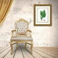 thumbnail image 3 of Popp, Grace 15x18 Gold Ornate Wood Framed with Double Matting Museum Art Print Titled - Watercolor Herbs VI, 3 of 4