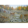 thumbnail image 2 of Wavra, Robert 14x11 Black Ornate Wood Framed with Double Matting Museum Art Print Titled - Autumn Whitetails, 2 of 4