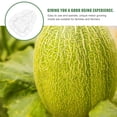 thumbnail image 5 of unbranded 6 Pcs  Melon Shaping Molds Fruits Growing Molds Ginseng Fruit Molds Transparent Vegetable Molds, 5 of 8
