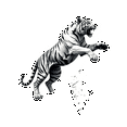 thumbnail image 6 of Vinyl Tiger Stickers Waterproof Wildlife Stickers for Notebooks Laptops DIY, 6 of 9
