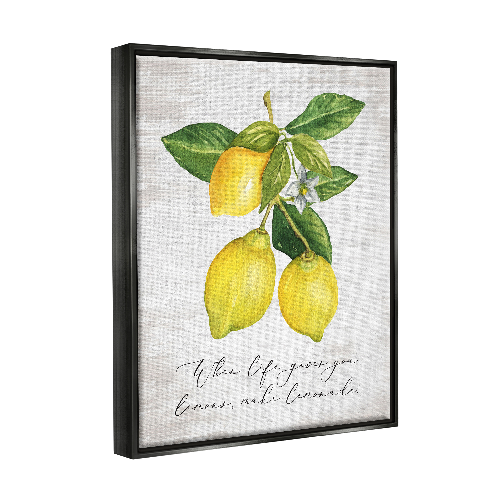 Stupell Industries Life & Lemons Phrase Food & Beverage Painting Black Floater Framed Art Print Wall Art, 25 x 31