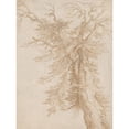 thumbnail image 3 of Jacob de Gheyn II 19x24 Black Modern Framed Museum Art Print Titled - Study of a Tree (16th Century), 3 of 5