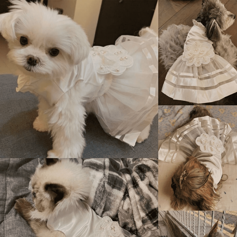 Dog Dress Pet Wedding Dress Princess Lace Puppy Birthday Party Outfit Formal Apparel Girl for Dogs Cats