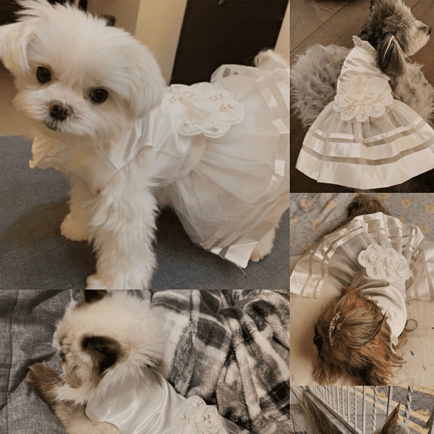 FloreceBien Vestido para perro Vestido de boda para mascota