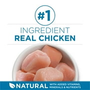 Purina ONE Plus, Indoor Advantage, Senior Dry Cat Food, Chicken, 7 lb Bag