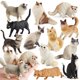 thumbnail image 2 of Figura de acción de gato siamés Devon Rex Sphynx Ragdoll persa de Oenux, figura de gato bobtail, linda decoración, juguete de regalo para niños, 2 of 5