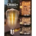 thumbnail image 3 of 10 Pack ST38 LED Light Bulbs, Outdoor String Light Replacement Bulbs Equivalent to 7W Incandescent Bulb, Shatterproof Edison Vintage Bulbs, 0.6W, Warm White, Dimmable, E12/C7 Base, 3 of 5