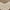 Brown & Cream, variant on 5x8 Water Resistant, Indoor Outdoor Rugs for Patios, Front Door Entry, Entryway, Deck, Porch, Balcony | Outside Area Rug for Patio | Black, Striped Border | Size: 5'3'' x 7'3''