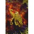 thumbnail image 2 of Shimlock, Jones 23x32 Gold Ornate Wood Framed with Double Matting Museum Art Print Titled - Indonesia, Pantar Island Small yellow octopus, 2 of 4